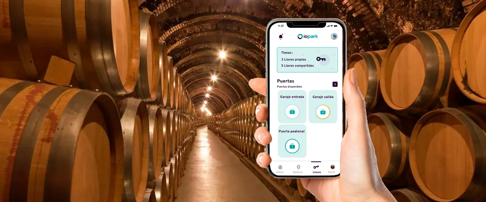 Bodegas y Almazaras