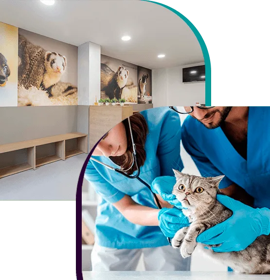 Ventajas de las cerraduras inteligentes para Clínicas Veterinarias