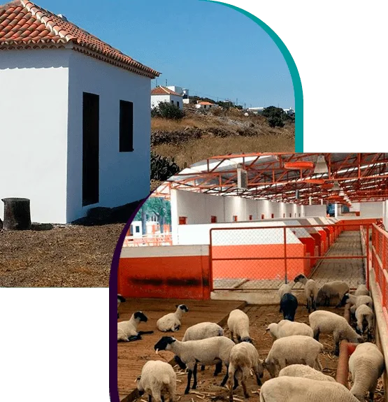 Ventajas de las cerraduras inteligentes para Granjas y Explotaciones Agrícolas
