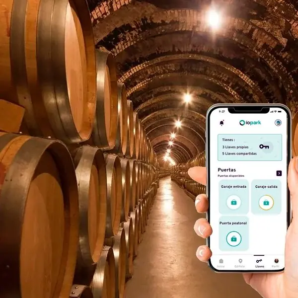 Bodegas y Almazaras